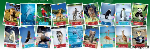 animal-action-3d-card-merendine-kinder