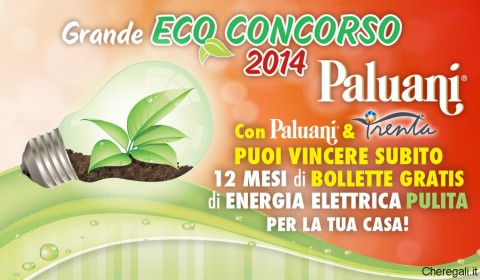 eco-concorso-paluani